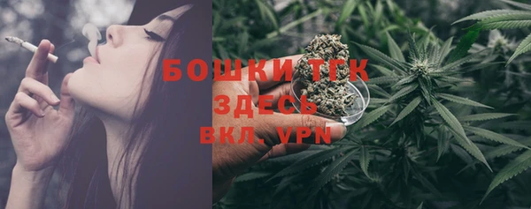 трава Медвежьегорск