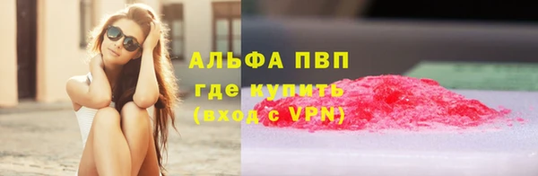 стафф Майский