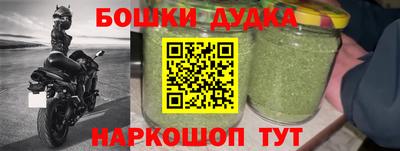 прущие грибы Апшеронск