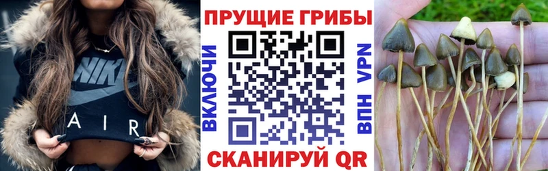 Псилоцибиновые грибы Psilocybe  наркотики  площадка наркотические препараты  Урай 