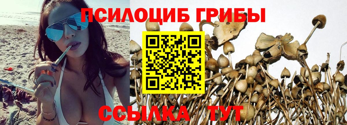 Галлюциногенные грибы GOLDEN TEACHER Урай
