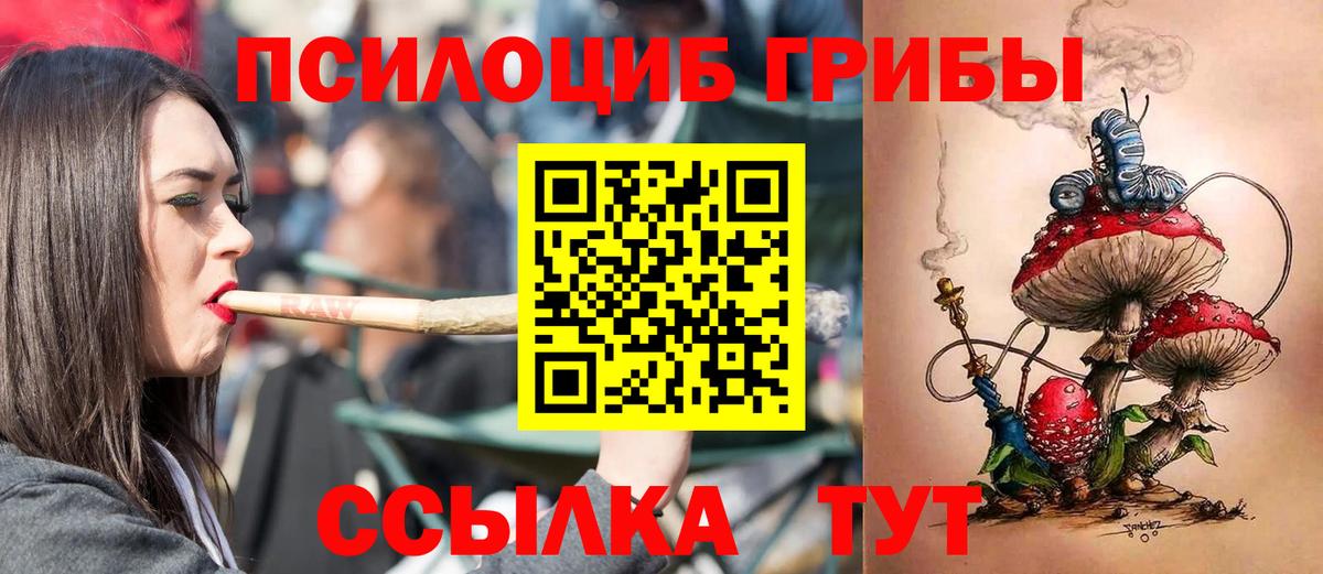 Псилоцибиновые грибы Psilocybe Урай